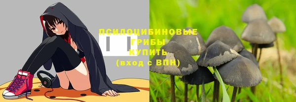 кокс Алзамай