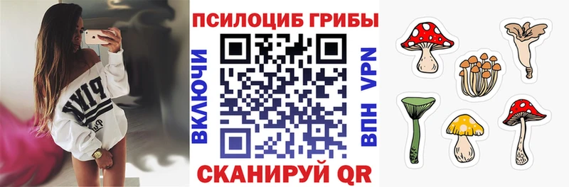 Галлюциногенные грибы Psilocybine cubensis  гидра зеркало  Псков 